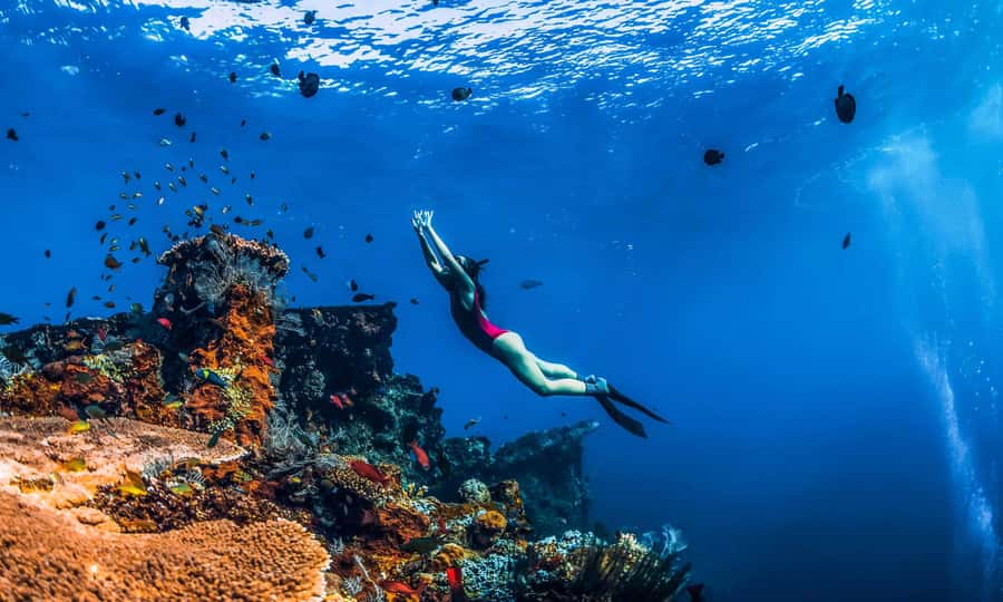 Amed: Snorkeling Trip to the Japanese Shipwreck - Key details before you book