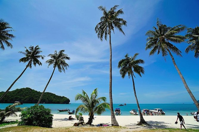 Angthong National Marine Park by Speed Boat with Snorkeling & Kayaking - Koh Wao: a 45-minute snorkeling stop