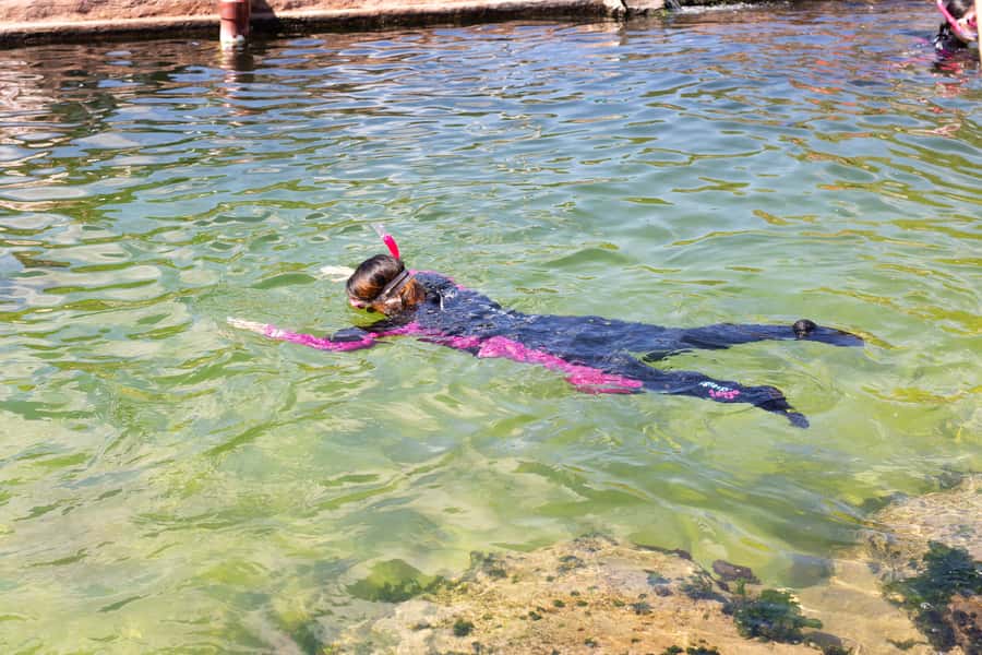 Anna Bay: Irukandji Entry Pass with Reef Shark Snorkel - Key points to know before you book