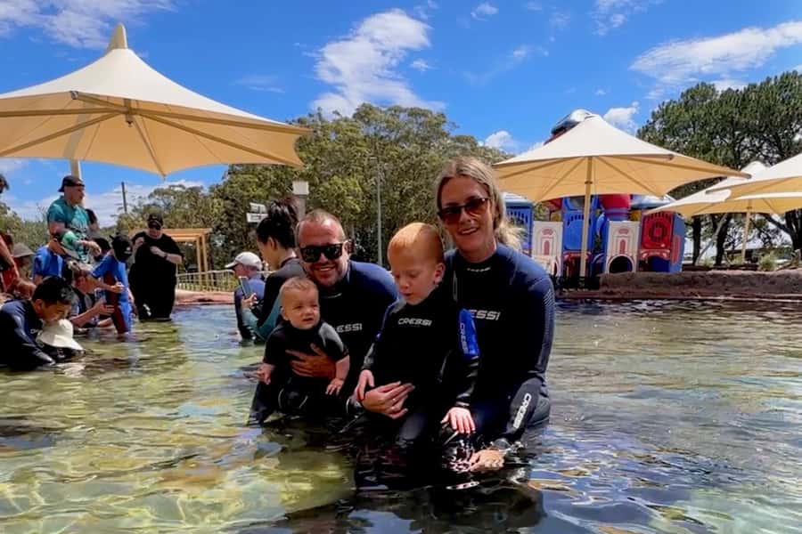 Anna Bay: Irukandji Entry Pass with Reef Shark Snorkel - The shallow lagoon feeding session