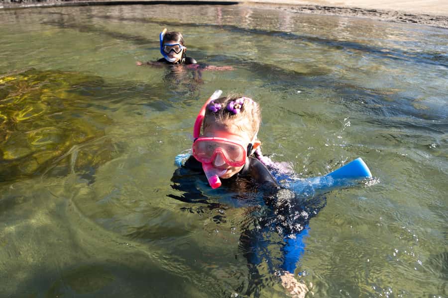 Anna Bay: Irukandji Entry with Zebra Shark Snorkel - The heated tropical lagoon and its zebra sharks