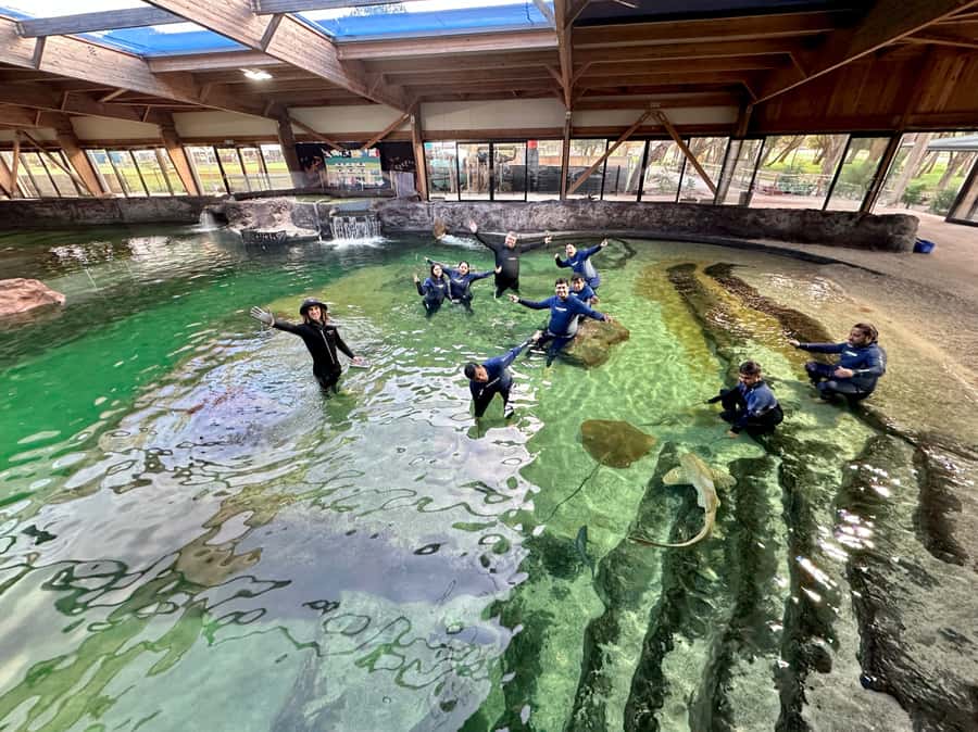 Anna Bay: Irukandji Entry with Zebra Shark Snorkel - A family activity with real hands-on contact