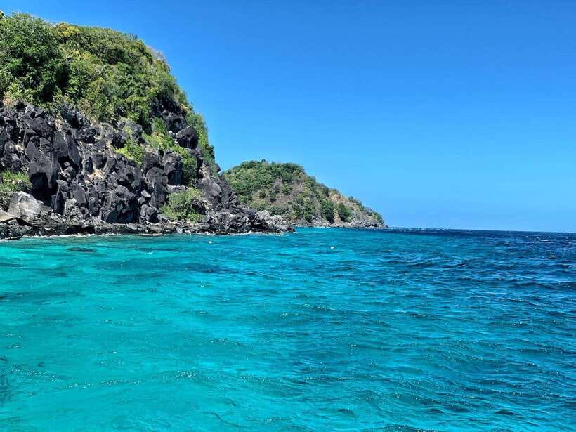 Apo Island Wonders: Snorkel with Sea Turtles in Dumaguete - Key points before you book