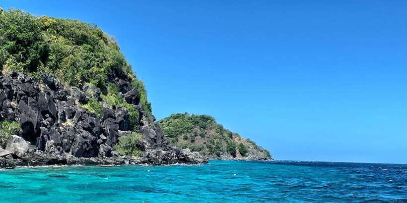 Apo Island Wonders: Snorkel with Sea Turtles in Dumaguete - The optional scuba session
