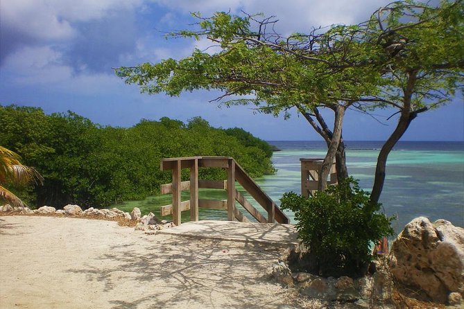 Aruba Mangel Halto and Baby Beach Snorkeling Guided Tour - Mangel Halto brings mangroves and a different kind of water