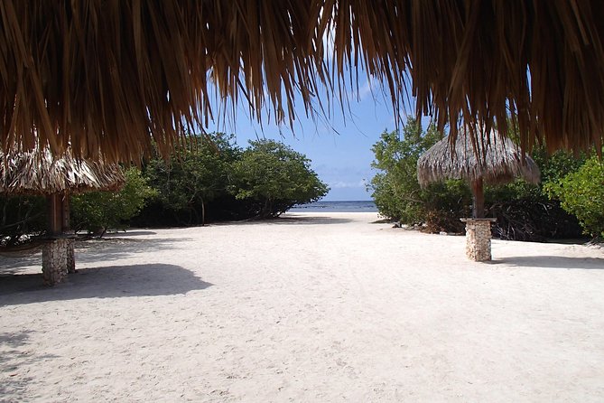 Aruba Mangel Halto and Baby Beach Snorkeling Guided Tour - What the guides add to a shore-snorkeling tour