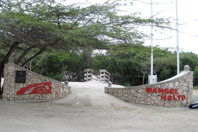 Aruba Mangel Halto and Baby Beach Snorkeling Guided Tour - Snorkeling equipment and what to pack