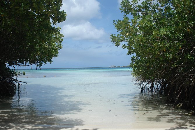 Aruba Mangel Halto and Baby Beach Snorkeling Guided Tour - How the schedule affects the value