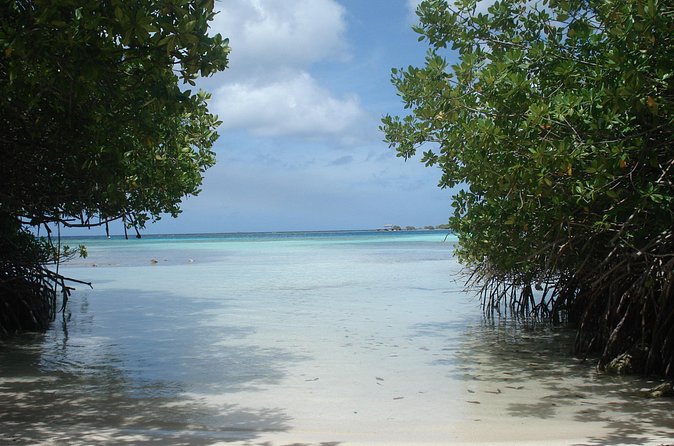 Aruba Mangel Halto and Baby Beach Snorkeling Guided Tour - Practical details that can save your day
