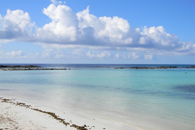 Aruba Mangel Halto and Baby Beach Snorkeling Guided Tour - The open-air bus turns transport into part of the day