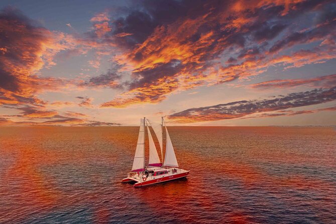 Aruba Morning Snorkeling or Sunset Sail to Boca Catalina With BBQ - Three Snorkel Stops Along Aruba’s West Coast