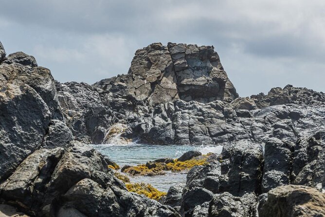 Aruba National Park Tour with Natural Pool & Baby Beach Snorkel - Why this half-day tour works well in Aruba