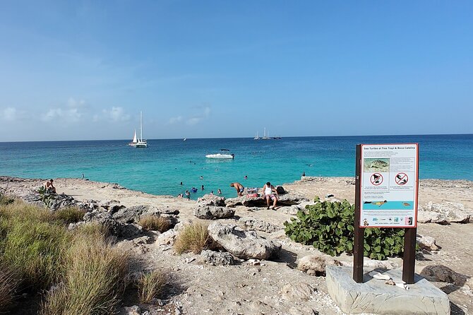 Aruba Turtle Spotting Snorkeling Adventure - Tres Trapi Beach is the right place to start