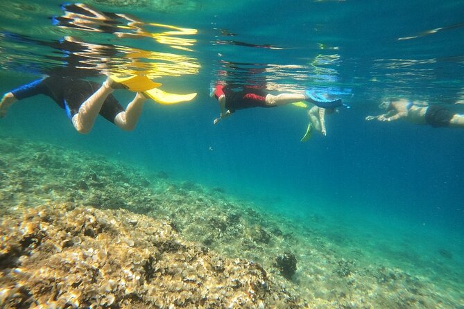 Athens, Nea Makri: Guided Small Group Snorkeling Boat Excursion - Should you book it?