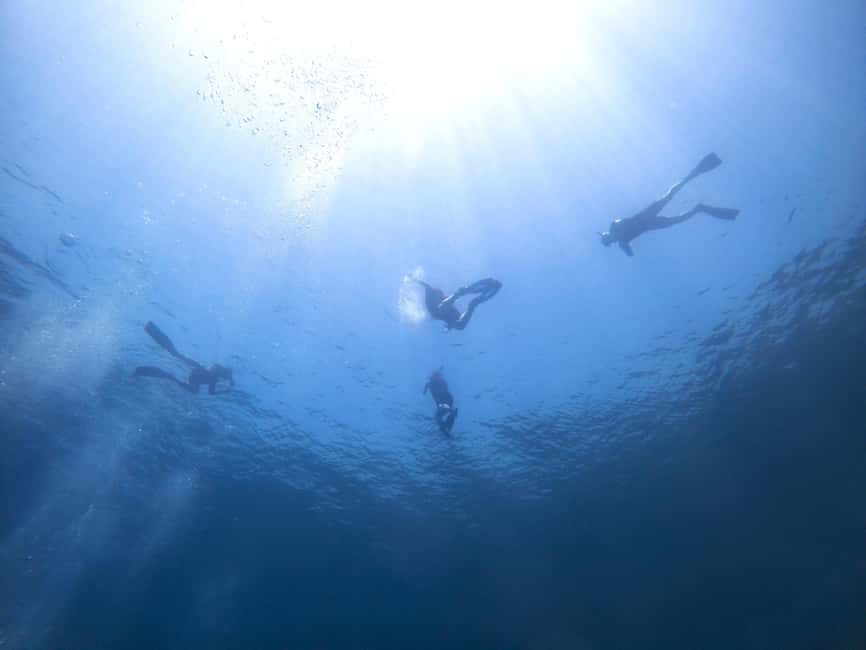 Athens: Snorkeling Riviera Adventure - The shorty wetsuit and the value of extra flotation