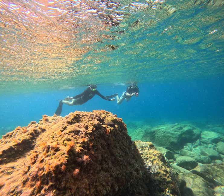 Athens: Snorkeling Riviera Adventure - What you may see below the surface