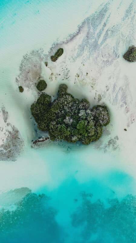 Bacalar & Cenotes: 3 hours kayak rental with snorkeling gear - The first paddle across Bacalar Lagoon