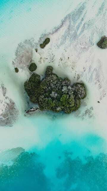 Bacalar & Cenotes: 3 hours kayak rental with snorkeling gear - Snorkeling, swimming, and what to pack