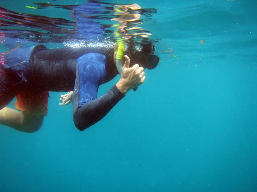 Bali: 1 Hour Snorkeling at Nusa Dua Beach - Key points before you book