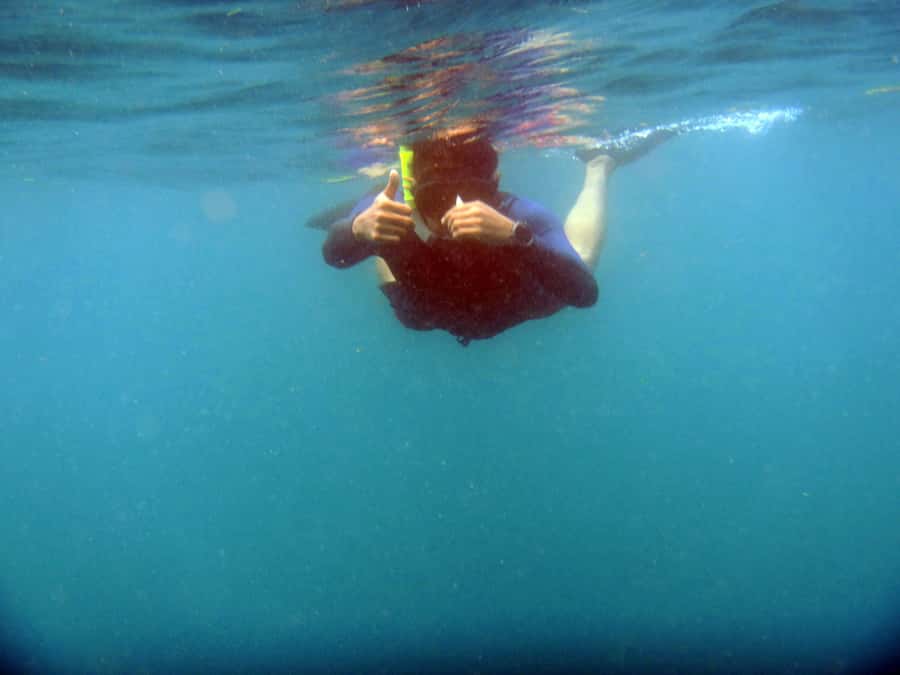 Bali: 1 Hour Snorkeling at Nusa Dua Beach - What the Nusa Dua hour is really like