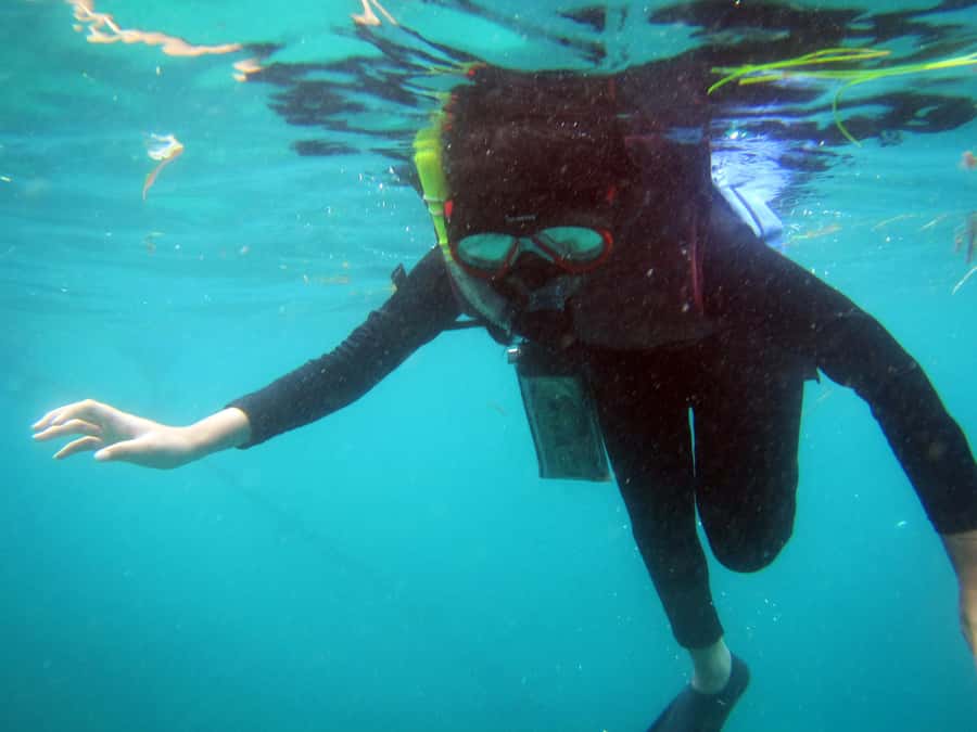 Bali: 1 Hour Snorkeling at Nusa Dua Beach - The safety briefing and equipment setup
