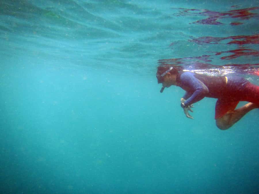 Bali: 1 Hour Snorkeling at Nusa Dua Beach - Who will get the most from this outing