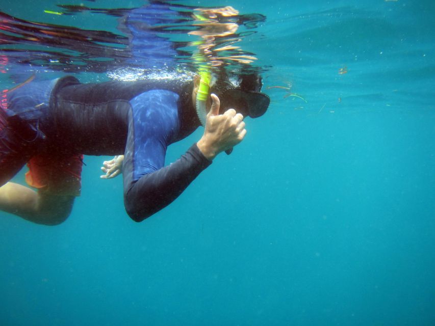 Bali: 1 Hour Snorkeling at Nusa Dua Beach - Practical tips for a better visit