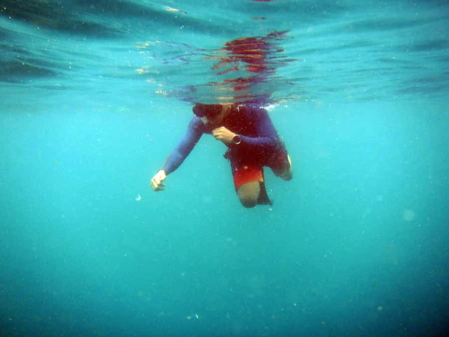 Bali: 1 Hour Snorkeling at Nusa Dua Beach - Meeting Mr. Agung at Bayu Suta Water Sport