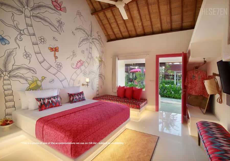 Bali: 3-Day Private Gili Islands Snorkel Tour with Hotel - Standard or Premium: which package gives better value?