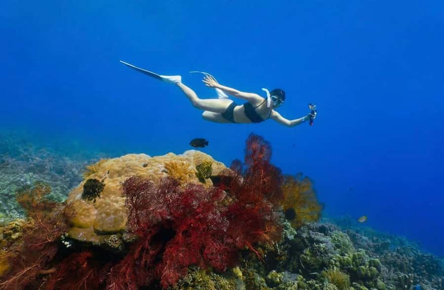 Bali: Amed, Jemeluk & Lipah Beach Snorkeling Adventure - How long should you expect to be away?