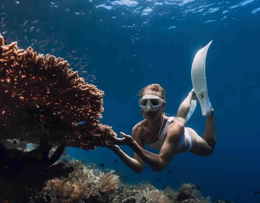 Bali/Amed: Underwater Temple Snorkeling Experience - Amed’s four-stop snorkeling route