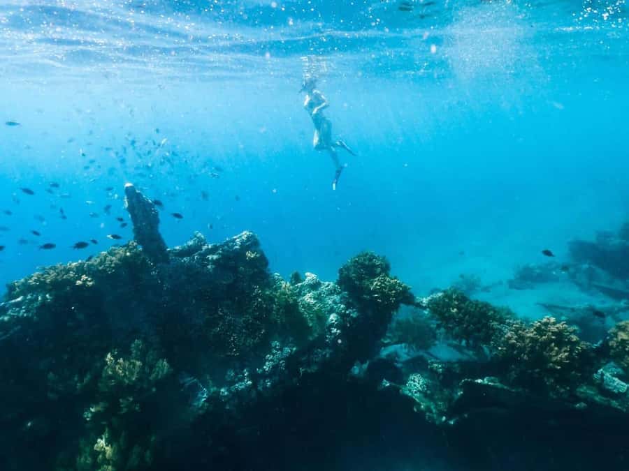 Bali/Amed: Underwater Temple Snorkeling Experience - Who should book this Amed outing?