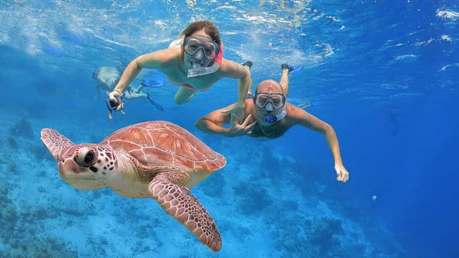 Bali: Basic Snorkeling at Menjangan Island - Menjangan Island in a Five-Hour Morning