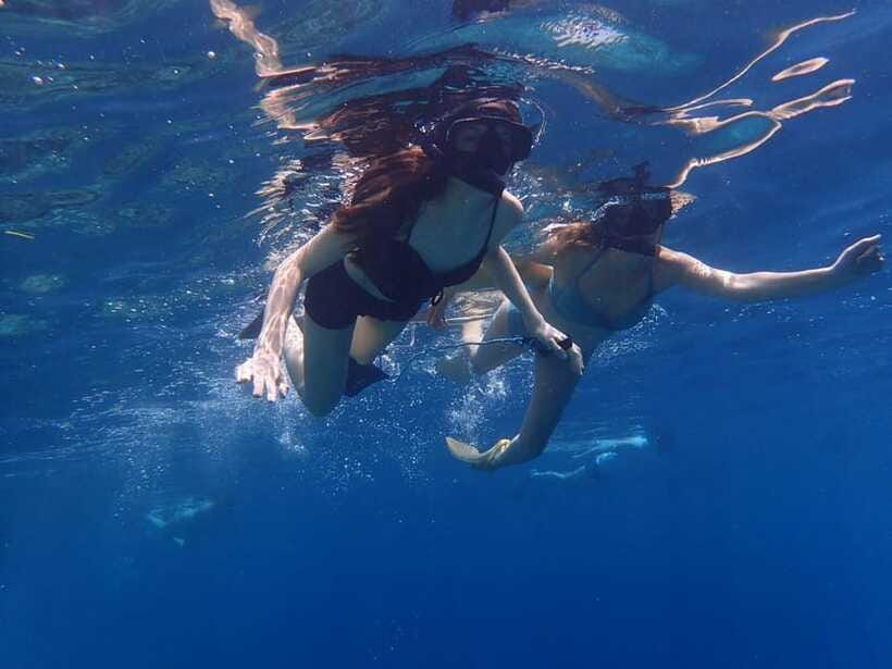 Bali: Basic Snorkeling at Menjangan Island - Who Will Enjoy This Snorkeling Trip Most
