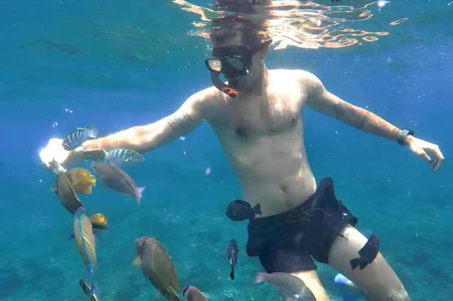 Bali: Blue Lagoon Beach Snorkeling Tour with Lunch - Adding Ubud, temples, and waterfalls