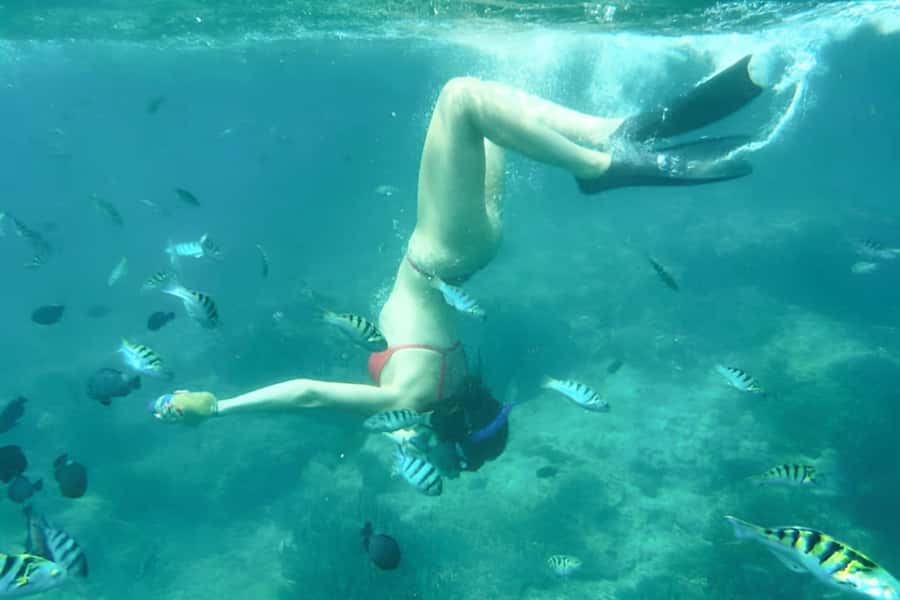 Bali: Blue Lagoon Beach Snorkeling Tour with Lunch - Shared or private: choosing the right version