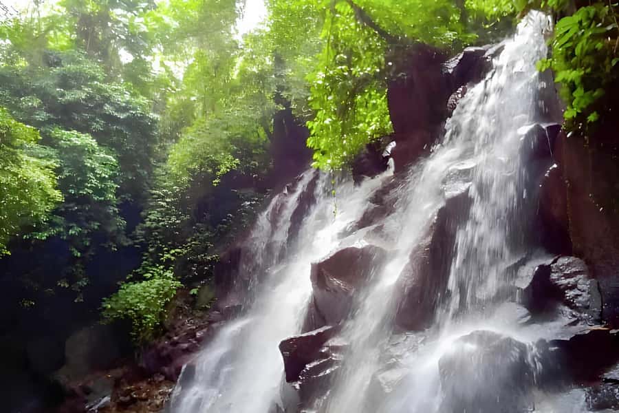 Bali: Blue Lagoon Snorkel, Kanto Lampo & Tibumana Waterfalls - Who will enjoy this day most