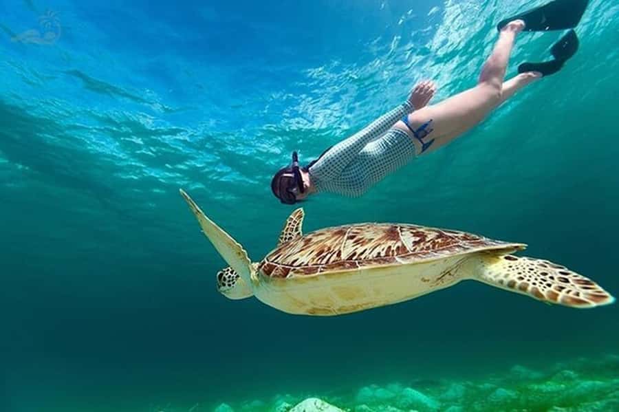 Bali: Blue Lagoon Snorkel, Kanto Lampo & Tibumana Waterfalls - Blue Lagoon puts the sea first