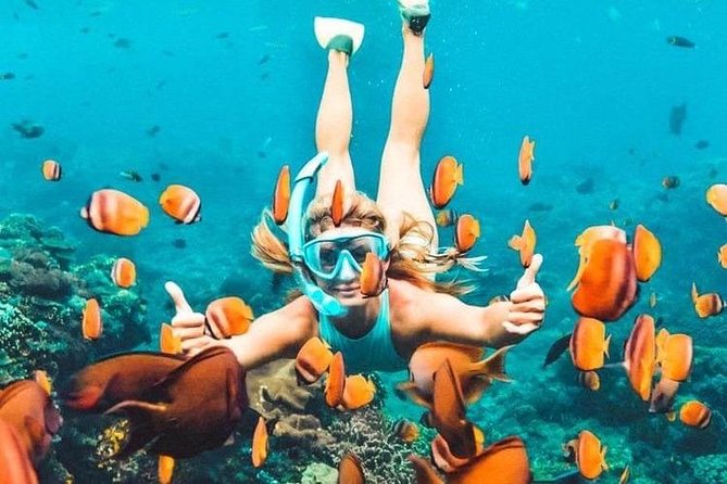Bali Blue Lagoon Snorkeling - Lunch and Transport All Inclusive - What this Bali day is really like