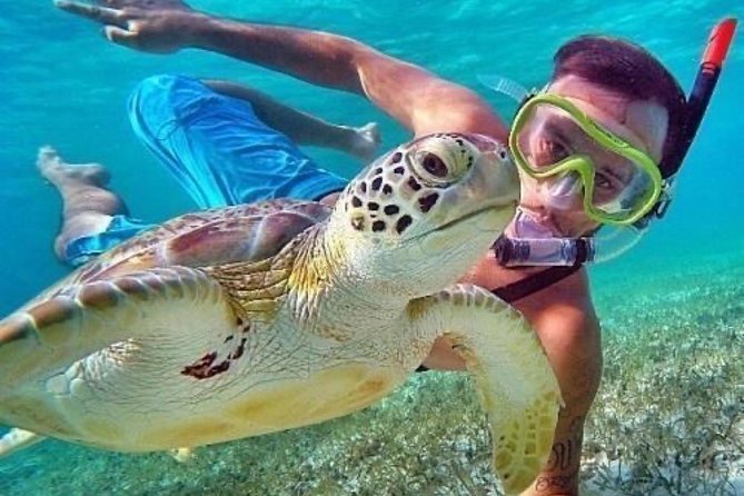 Bali Blue Lagoon Snorkeling - Lunch and Transport All Inclusive - Transport, pickup, and the true cost of the day