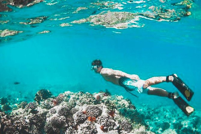 Bali Blue Lagoon Snorkeling - Lunch and Transport All Inclusive - Weather, energy, and timing
