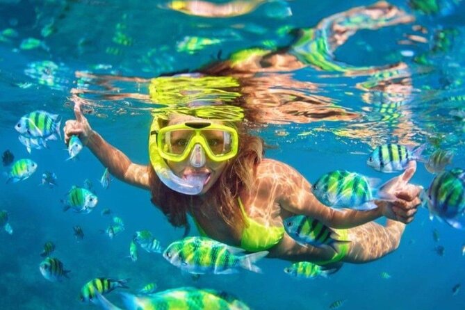 Bali Blue Lagoon Snorkeling - Lunch and Transport All Inclusive - Starting with Blue Lagoon and Tanjung Jepun