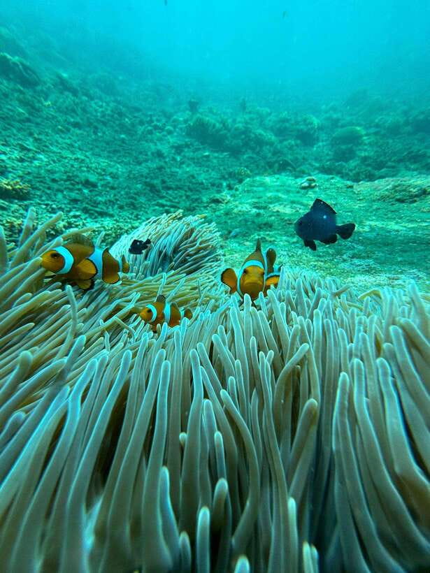 Bali: Blue Lagoon Snorkeling, Waterfall, and Plantation - Arriving by boat from the shore