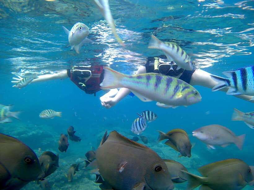 Bali: Blue Lagoon Snorkeling & Waterfall Tour - Two snorkeling sites before the inland sights
