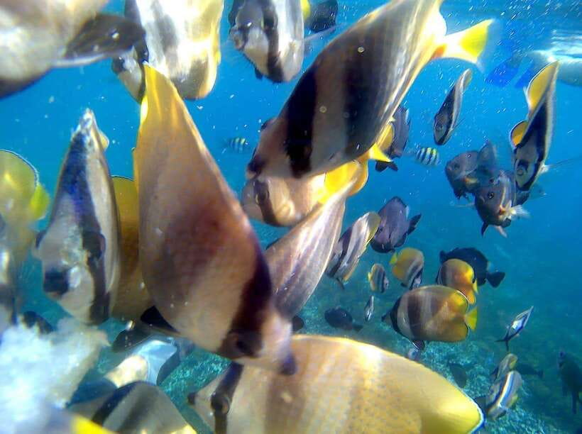 Bali: Blue Lagoon Snorkeling & Waterfall Tour - Beach lunch with time to look out to sea