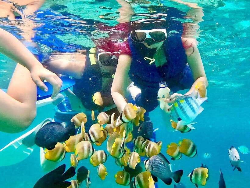 Bali: Blue Lagoon Snorkeling & Waterfall Tour - Hotel pickup, drivers, and the shape of the day