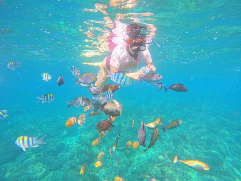 Bali: Blue Lagoon Snorkeling & Waterfall Tour - Is $19 good value?