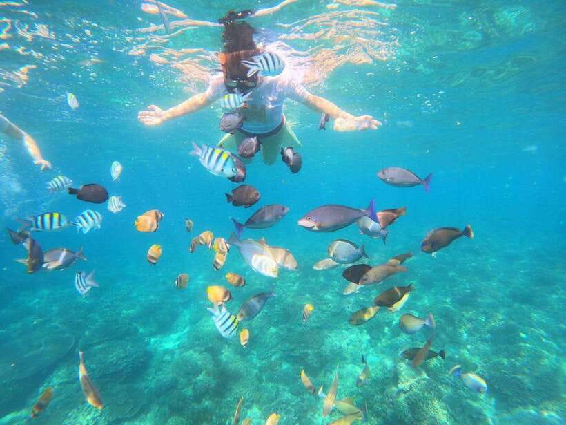 Bali: Blue Lagoon Snorkeling & Waterfall Tour - Should you book Blue Lagoon and Tukad Jepun?