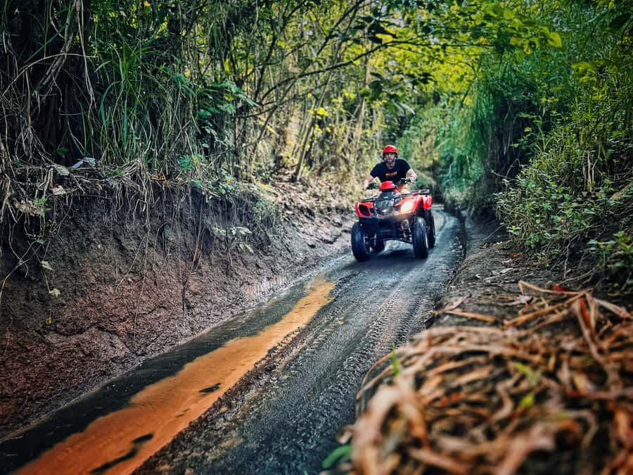 Bali: Blue Lagoon Snorkeling & Waterfall Tour with Lunch - How the $21 price holds up