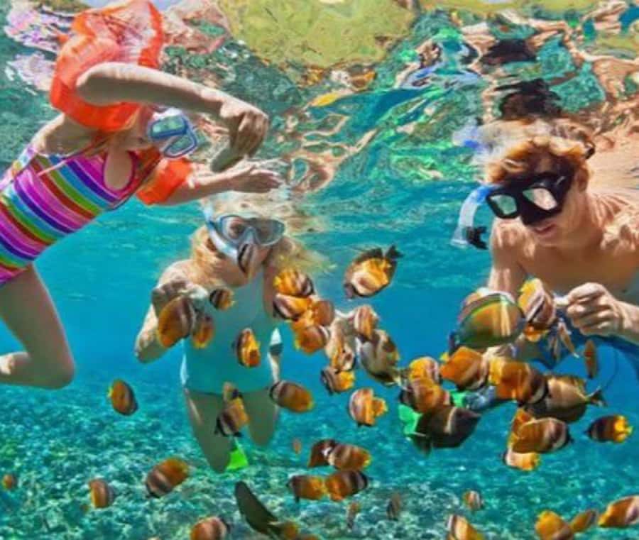 Bali: Blue Lagoon Snorkeling & Waterfall Tour with Lunch - Practical preparation for a smoother day